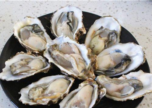 瓜沥生蚝免费吃,免费畅享的海鲜狂欢之旅